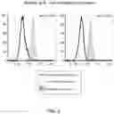 Fig. 27 - Means and methods for counteracting myeloproliferative or lymphoproliferative disorders