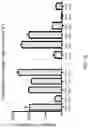 Fig. 44 - Means and methods for counteracting myeloproliferative or lymphoproliferative disorders