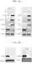 Fig. 03 - Extracellular matrix-producing composition using MAST4 gene and preparation method therefor