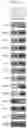 Fig. 05 - Extracellular matrix-producing composition using MAST4 gene and preparation method therefor
