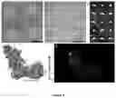 Fig. 05 - Method for preparing a cross-linked hydrogel nanomembrane, the cross-linked hydrogel nanomembrane, TEM grid comprising the same and use thereof