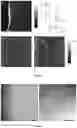 Fig. 07 - Method for preparing a cross-linked hydrogel nanomembrane, the cross-linked hydrogel nanomembrane, TEM grid comprising the same and use thereof