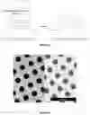 Fig. 12 - Method for preparing a cross-linked hydrogel nanomembrane, the cross-linked hydrogel nanomembrane, TEM grid comprising the same and use thereof