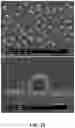 Fig. 23 - Method of uniformly dispersing nickel-plated conductive particles of single layer within polymer film by applying magnetic field to polymer film and method of fabricating anisotropic conductive film using the same