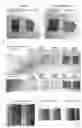 Fig. 02 - SURFACE MODIFYING COMPOSITION, MODIFIED PRODUCT, AND METHOD OF PRODUCING MODIFIED PRODUCT