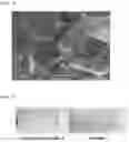 Fig. 02 - Method of preparing superabsorbent polymer sheet