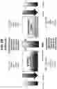 Fig. 04 - Orthopedic implants having gradient polymer alloys