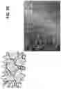 Fig. 22 - Orthopedic implants having gradient polymer alloys