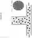 Fig. 03 - SYSTEM AND METHOD TO CURE DOWN HOLE LOSSES BY STIMULATION OF LOST CIRCULATION MATERIAL CONCENTRATION AT LOSS ZONE
