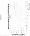 Fig. 06 - SYSTEM AND METHOD TO CURE DOWN HOLE LOSSES BY STIMULATION OF LOST CIRCULATION MATERIAL CONCENTRATION AT LOSS ZONE