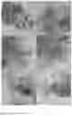 Fig. 08 - Form of copper sulfide