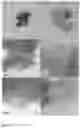 Fig. 09 - Form of copper sulfide