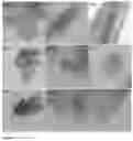 Fig. 10 - Form of copper sulfide