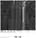 Fig. 16 - NANO-ADDITIVES ENABLED ADVANCED LUBRICANTS