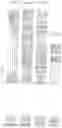 Fig. 02 - Nucleotide sequences and polypeptides encoded thereby useful for modifying plant characteristics in response to cold