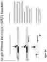 Fig. 03 - Compositions and methods for identification of a duplicate sequencing read