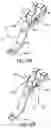 Fig. 12 - TOWING SYSTEMS AND METHODS USING MAGNETIC FIELD SENSING