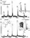 Fig. 01 - Detection of membrane proteins