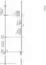 Fig. 14 - Failure-atomic persistent memory logging using binary translation