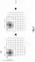 Fig. 05 - Generating shift-invariant neural network outputs