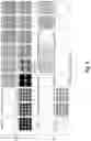 Fig. 10 - Generating shift-invariant neural network outputs