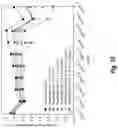 Fig. 11 - Generating shift-invariant neural network outputs