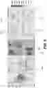 Fig. 11 - Proactive spatiotemporal resource allocation and predictive visual analytics system