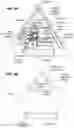 Fig. 10 - Cellular devices, systems and methods for logistics support
