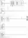 Fig. 07 - Automated check encoding error resolution