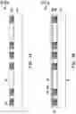 Fig. 02 - Package structure and manufacturing method thereof
