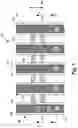 Fig. 02 - Integrated circuit product with a multi-layer single diffusion break and methods of making such products