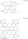 Fig. 09 - Organic electroluminescent materials and devices
