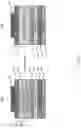 Fig. 07 - Hybrid organic light emitting device