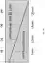 Fig. 08 - Hybrid organic light emitting device