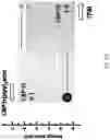 Fig. 15 - Hybrid organic light emitting device