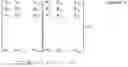 Fig. 05 - Feedback overhead reduction for precoders under high rank spatial channels