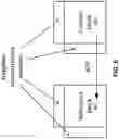 Fig. 07 - Excluding intra coded reference samples from local illumination compensation parameter derivation