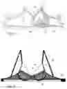 Fig. 02 - Undergarment receiving a thin intermediate bonding layer between two textiles prior to thermoforming