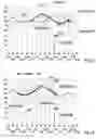 Fig. 05 - AUTOMATIC RECOGNITION OF KNOWN PATTERNS IN PHYSIOLOGICAL MEASUREMENT DATA
