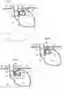 Fig. 02 - Apparatus and method for treating obesity