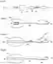 Fig. 16 - Apparatus and method for treating obesity