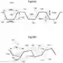 Fig. 49 - Apparatus and method for treating obesity