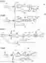 Fig. 64 - Apparatus and method for treating obesity