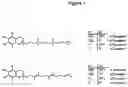 Fig. 02 - Transmucosal delivery of tocotrienol