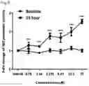 Fig. 08 - PHARMACEUTICAL COMPOSITION FOR TREATING THYROID CANCER COMPRISING TYROSINE KINASE ACTIVITY INHIBITOR AS ACTIVE INGREDIENT