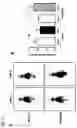 Fig. 14 - PHARMACEUTICAL COMPOSITION FOR TREATING THYROID CANCER COMPRISING TYROSINE KINASE ACTIVITY INHIBITOR AS ACTIVE INGREDIENT