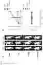 Fig. 16 - PHARMACEUTICAL COMPOSITION FOR TREATING THYROID CANCER COMPRISING TYROSINE KINASE ACTIVITY INHIBITOR AS ACTIVE INGREDIENT