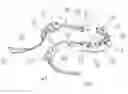 Fig. 01 - Linking Tread Path Game Apparatus