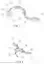 Fig. 03 - Linking Tread Path Game Apparatus