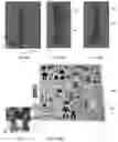 Fig. 25 - MAGNETIC CONSTRUCTION TOYS